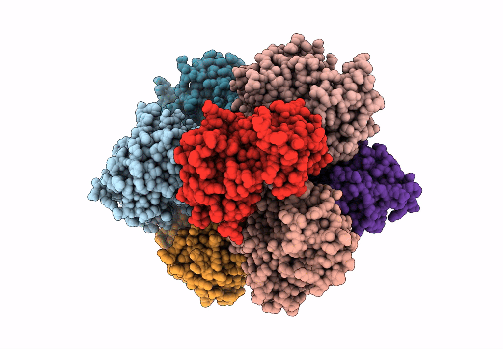 8PYI image