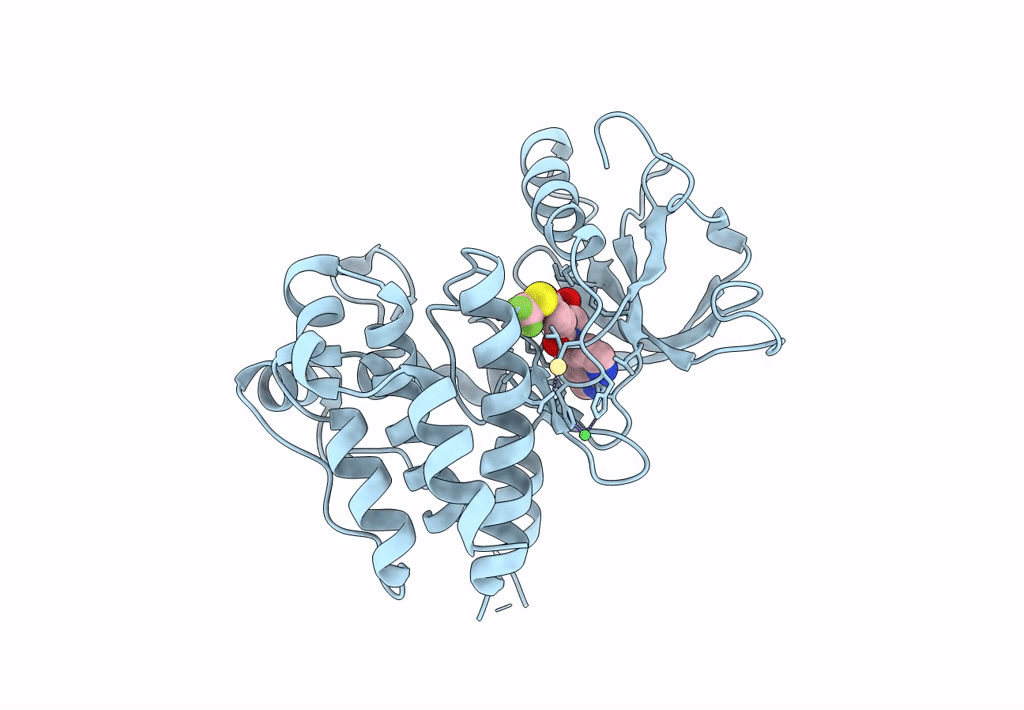 8PYL image