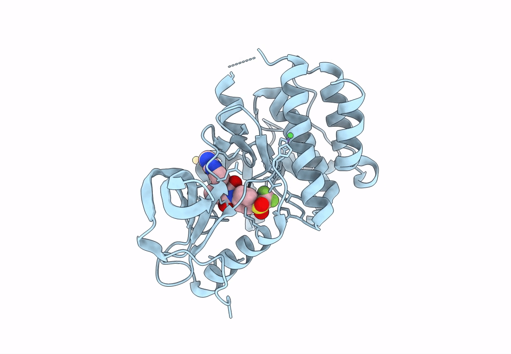 8PYN image