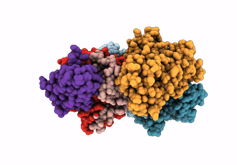 8PYR image