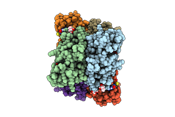 8PYW image