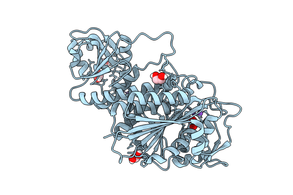 8PZ0 image