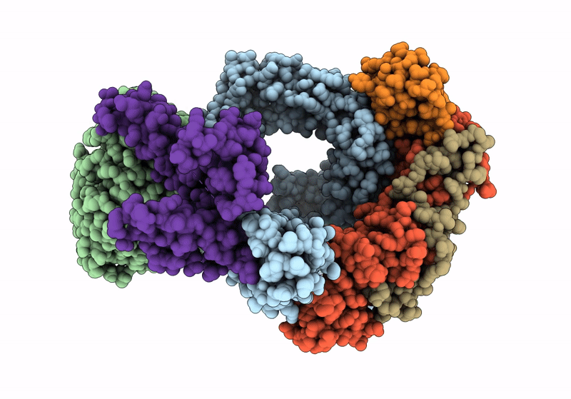 8PZ2 image