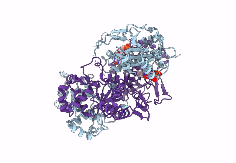8PZ5 image