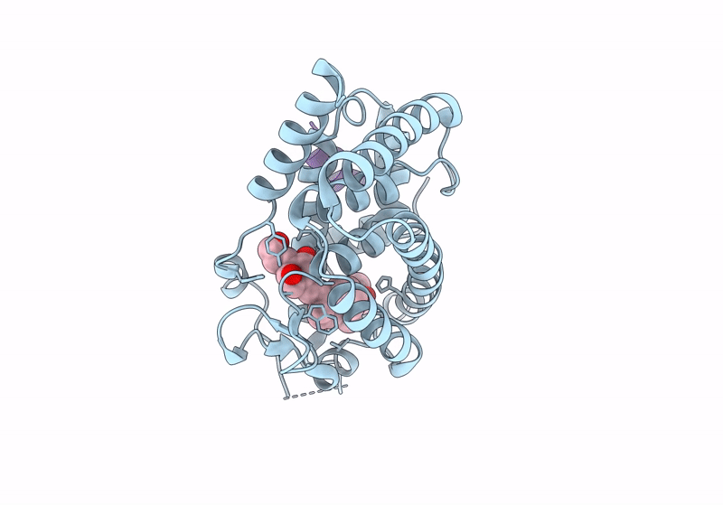8PZ6 image