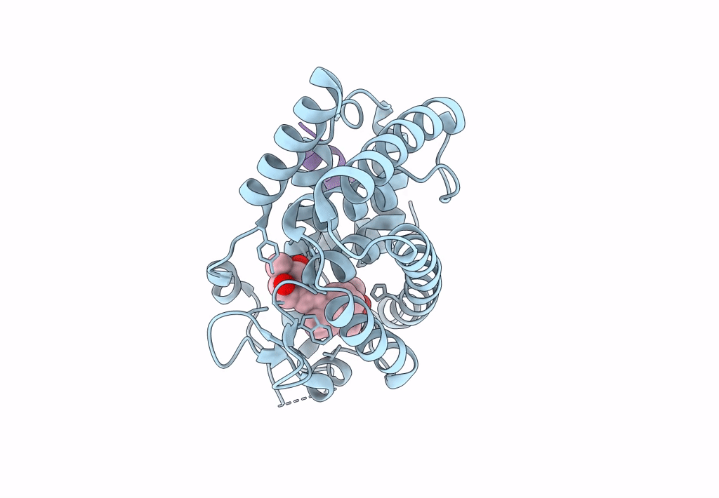8PZ7 image