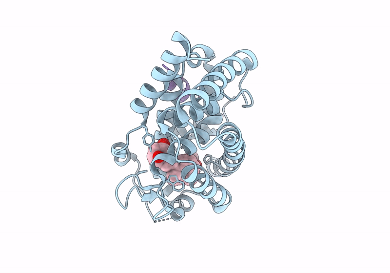 8PZ8 image