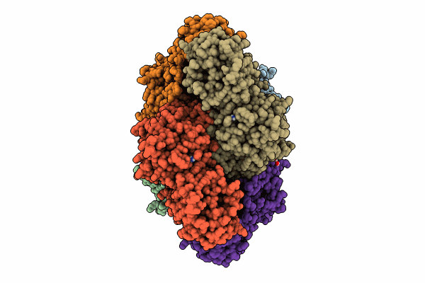 8PZY image