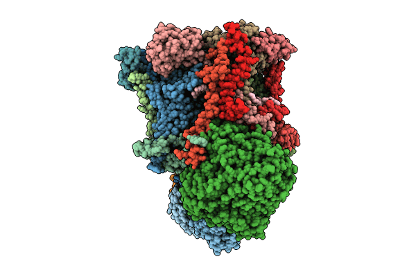 8Q1B image