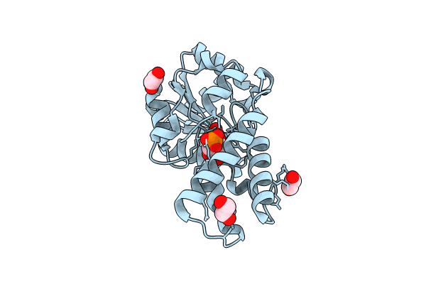 8Q1D image