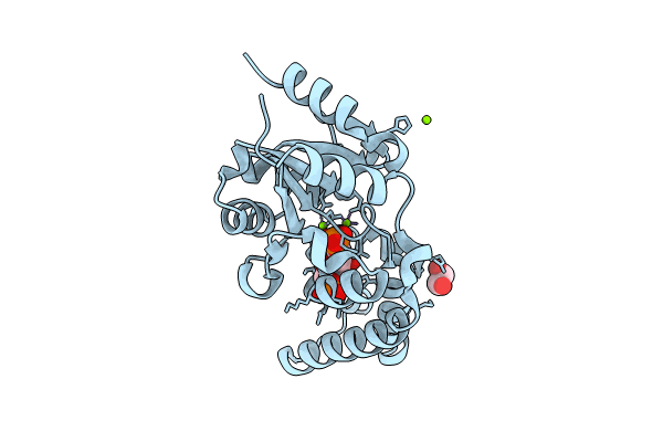 8Q1E image