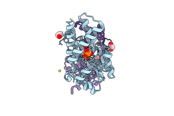 8Q1F image