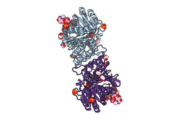 8Q1K image
