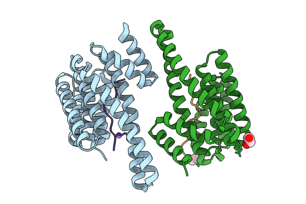 8Q1S image