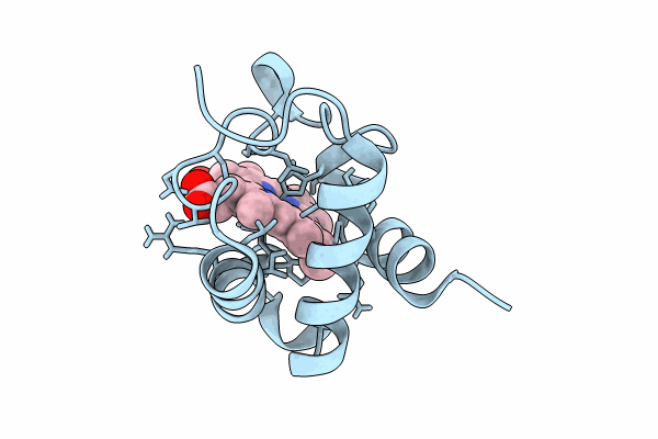 8Q1V image