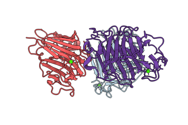 8Q2A image