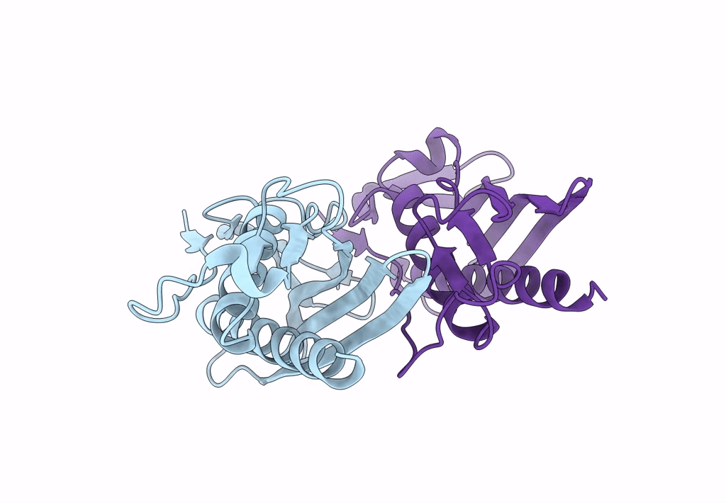 8Q2C image