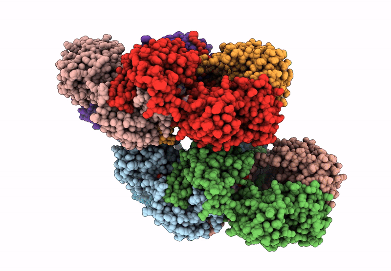 8Q2I image
