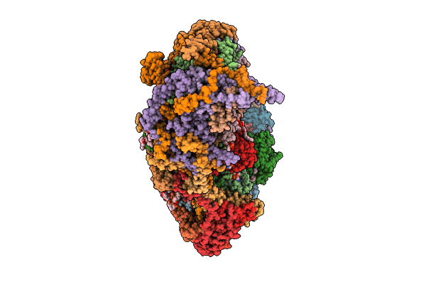 8Q4A image