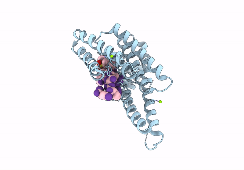 8Q55 image