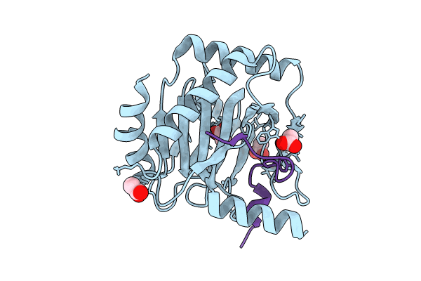 8Q64 image