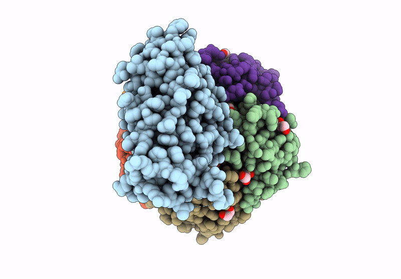 8Q6I image