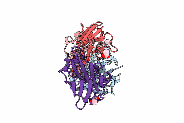 8Q6K image