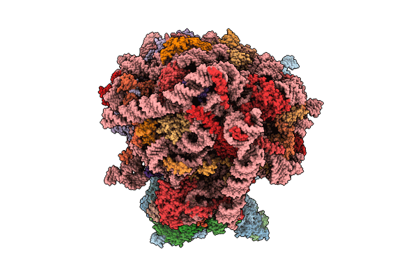 8Q7Z image