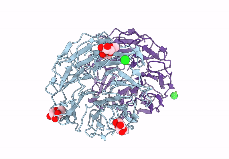 8Q82 image
