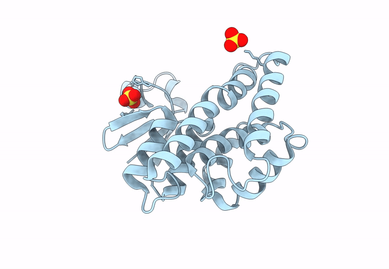 8Q8A image