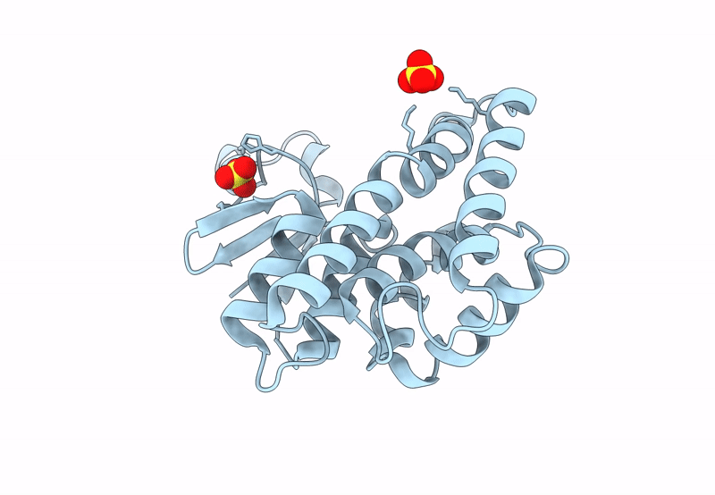 8Q8B image
