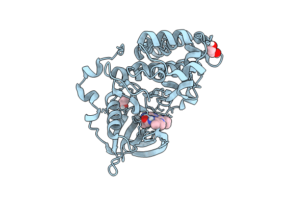 8Q9S image