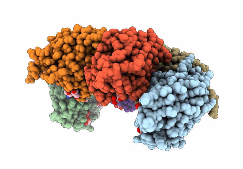 8QAX image