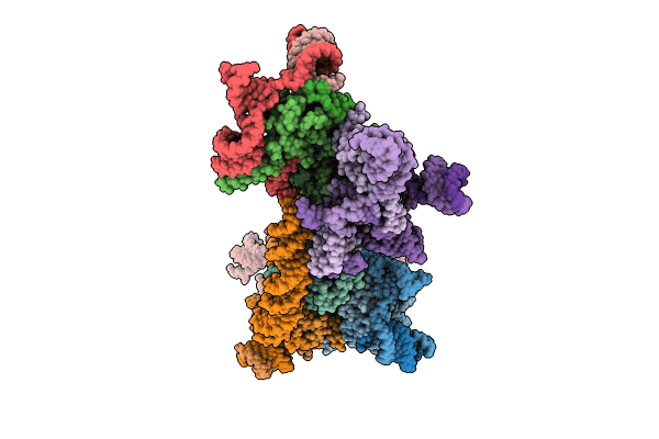 8QBL image