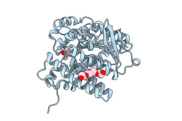 8QD6 image