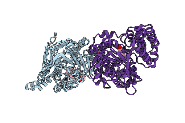 8QD8 image