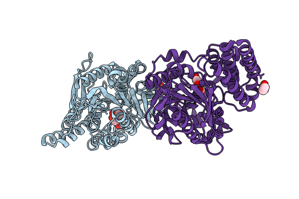 8QD9 image