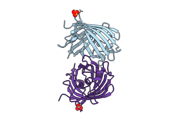 8QDD image