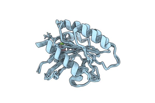8QDP image