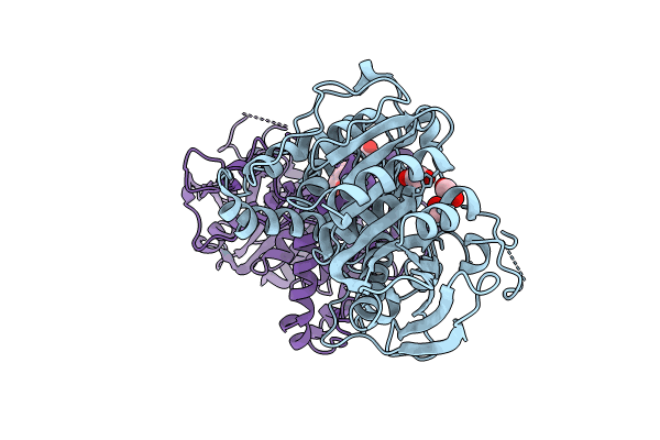 8QEF image