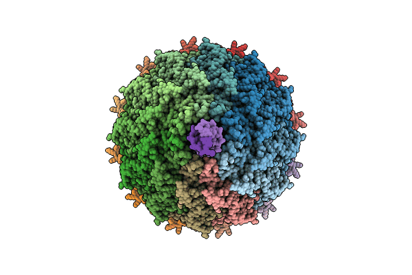 8QEM image