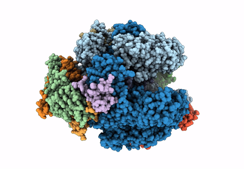 8QEQ image