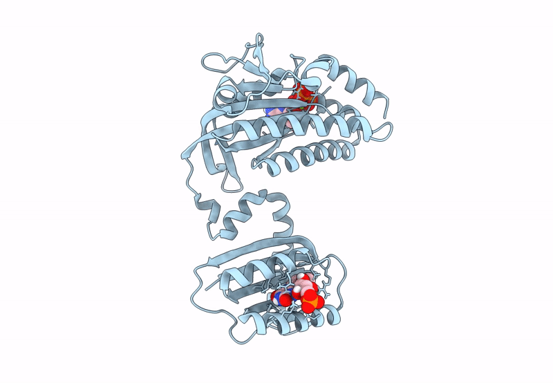 8QFH image