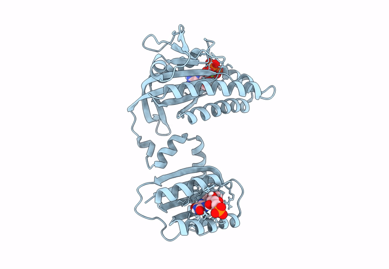8QFI image