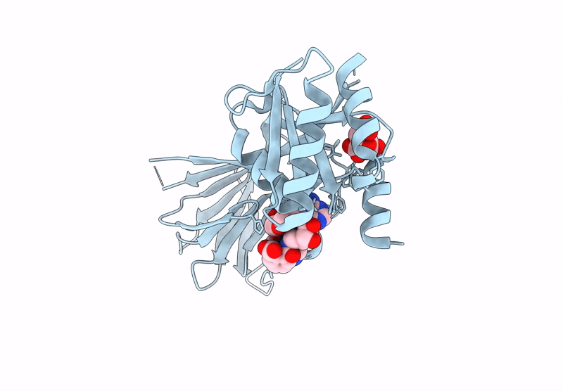 8QGB image