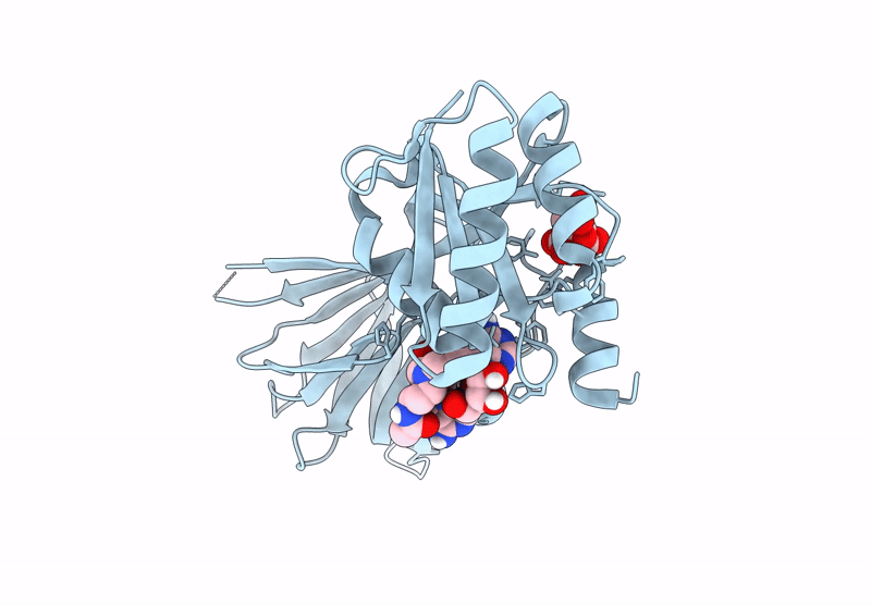 8QGK image