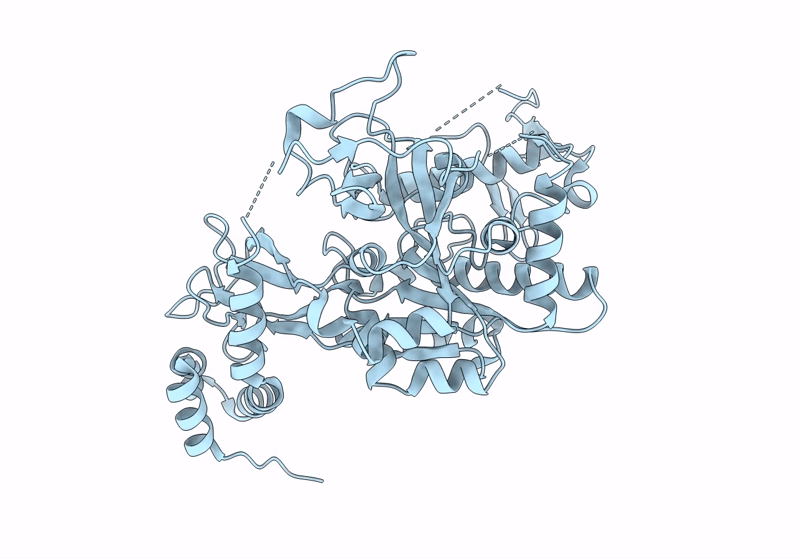 8QH2 image