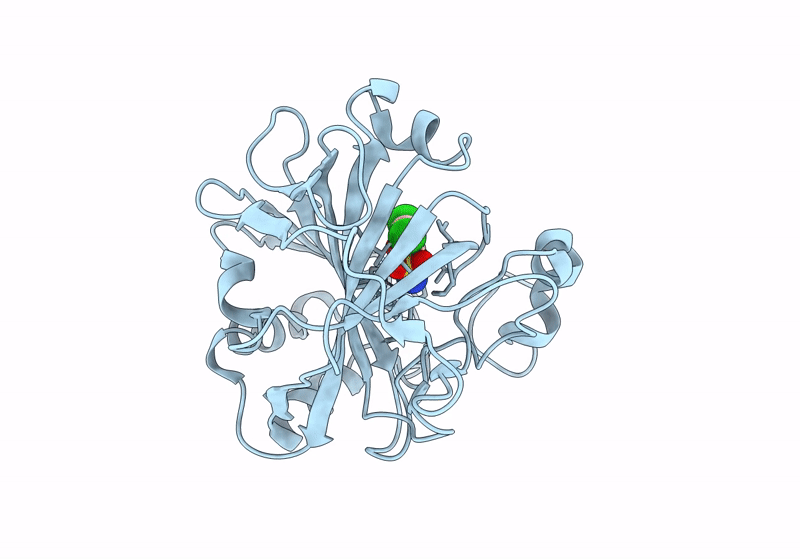 8QH8 image