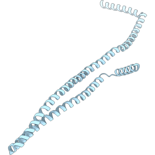 8QHW image