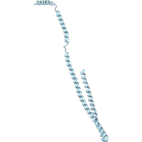 8QHZ image